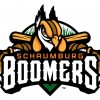 Schaumburg Boomers