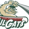 Gary Southshore RailCats
