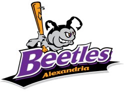 Alexandria Beetles