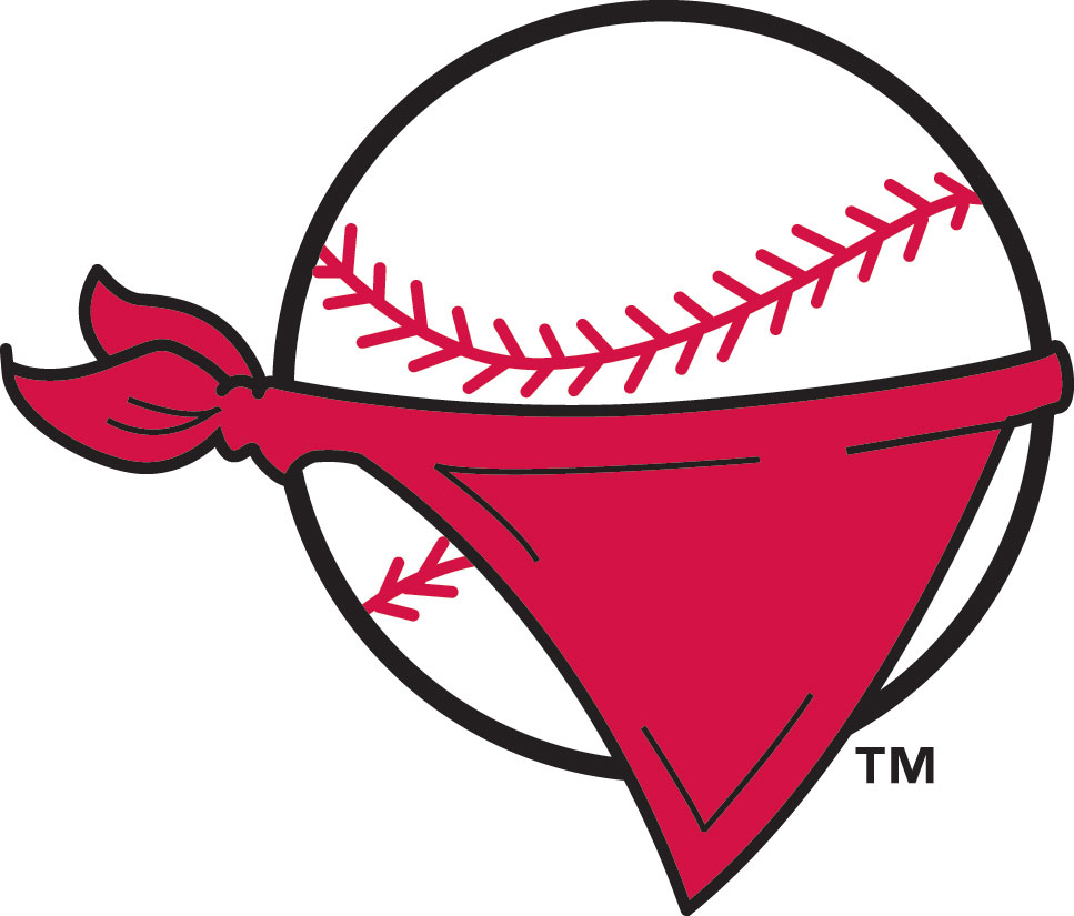 New River Bandits Alt Logos Unveiled   Ballpark Digest
