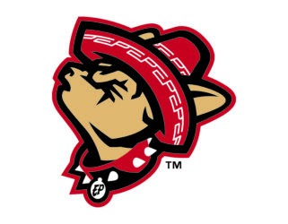 Triple-A baseball Chihuahuas unveil new jerseys, logo for 2019 season