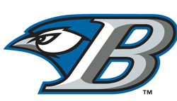 Bluefield Blue Jays