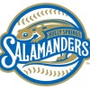 Holly Springs Salamanders logo