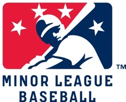 Beloit Brewers Milb Minor League Baseball Class A Midwest 