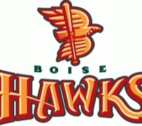 Boise Hawks logo