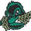 Eugene Emeralds logo