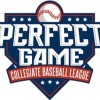 Perfect Game League