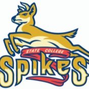 In memoriam: Bob the Baseball Dog State College Spikes