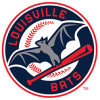 Louisville Bats 2016 makeover