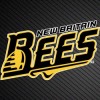 New Britain Bees