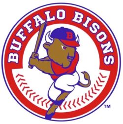 buffalo bisons