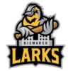 Bismarck Larks