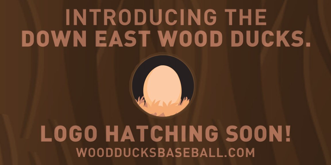 Wood Ducks Coming Soon