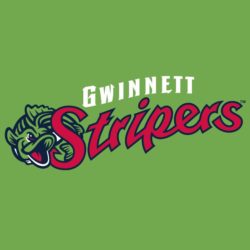 Flying Squirrels' brand going strong in Richmond, as Gwinnett Braves start  process of rebranding