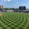 Dunkin' Donuts Park STMA mowing patterns contest winner small