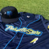 Myrtle-Beach-Pelicans-Palmetto-State-uniform