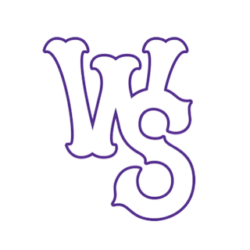 Winston-Salem Dash primary logo