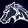 Martinsville Mustangs logo