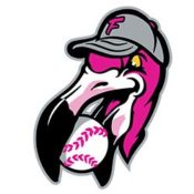Goodbye RedWolves, hello Florence Flamingos Florence Flamingos