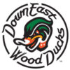 down-east-wood-ducks