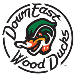 Texas Rangers sell Down East Wood Ducks; Team will move to